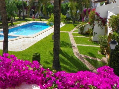 Garden, Garden view, Pool view