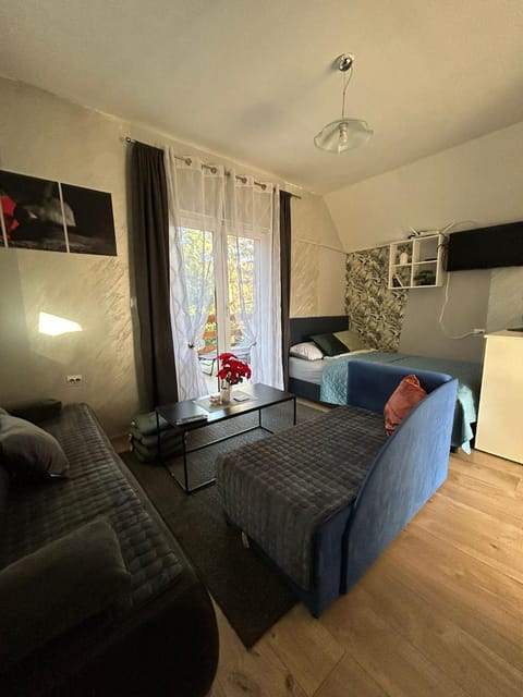Apartmani Trio sa terasom Apartment in Zlatibor District, Serbia