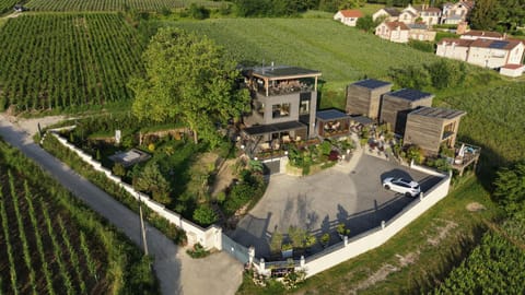 Natural landscape, Bird's eye view