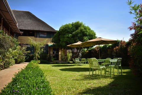 Day, Garden, Garden view
