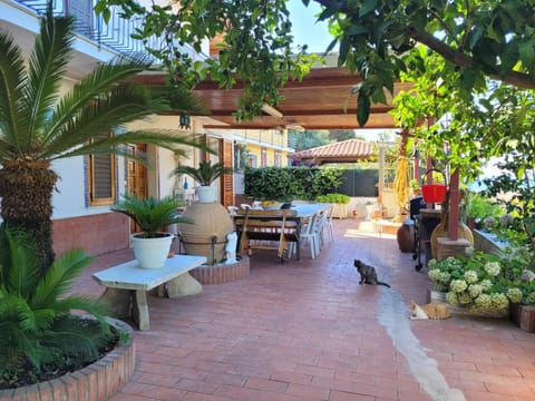 Patio, Garden