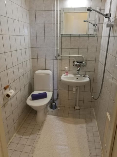 YH Luumäki Apartment in Finland