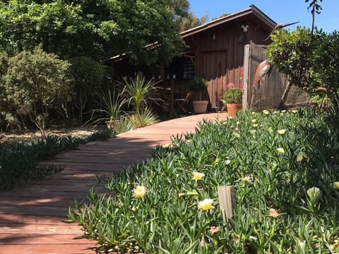 Garden, Garden view