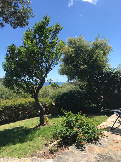 Natural landscape, Garden, Garden view, Sea view