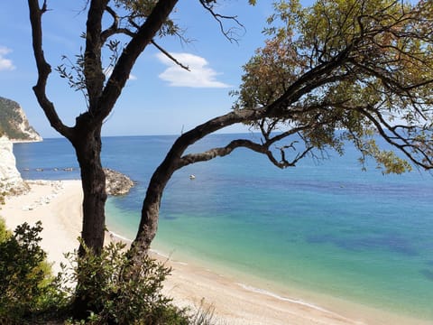Natural landscape, Beach, Sea view