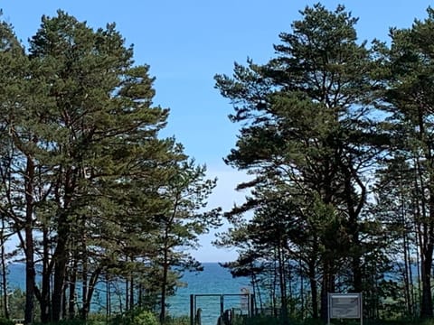 Sea view