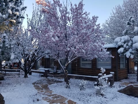 West Winds Lodge Nature lodge in Ruidoso
