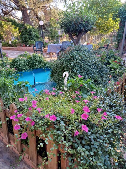 Handmade peaceful cozy house near the beach House in Halkidiki