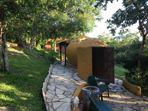 Natural landscape, BBQ facilities, Garden, Massage, Steam room, Pets