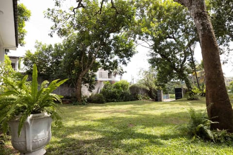 Natural landscape, Garden, Garden view