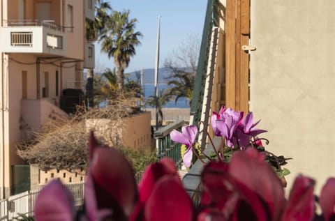 Property building, Day, Natural landscape, Garden, Garden view