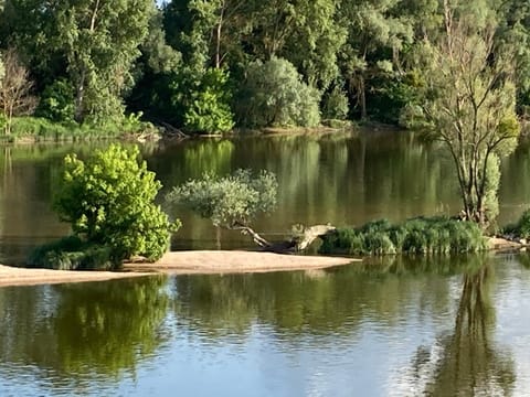 l'Etape des Châteaux le 2 bis House in Centre-Val de Loire