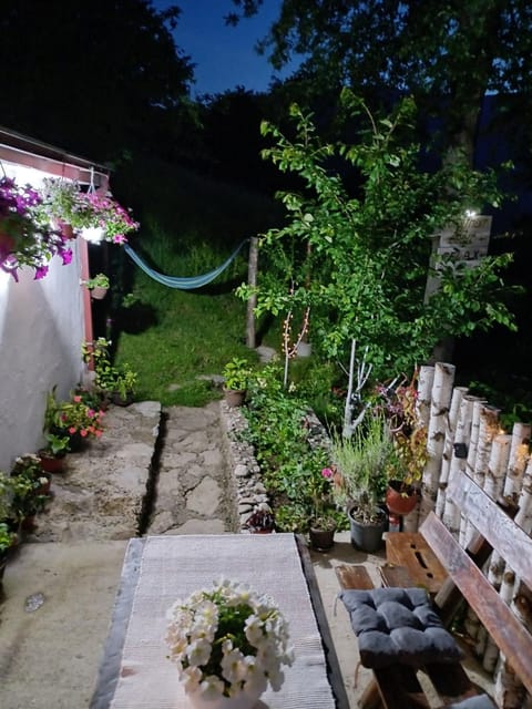 Night, Garden, Garden view