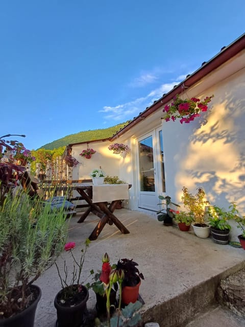 Property building, Garden view