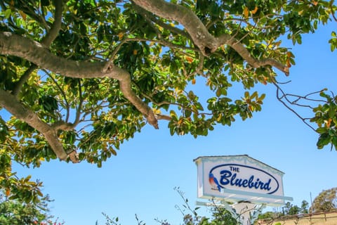 Bluebird Inn Inn in Cambria