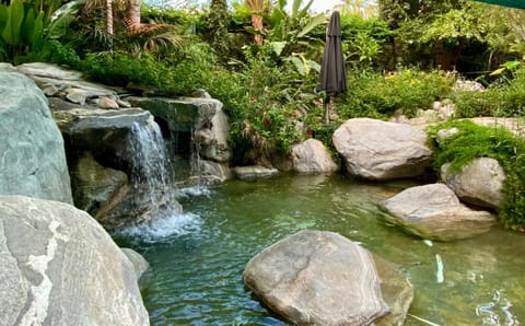 Vista Grande Resort - A Gay Men's Resort Resort in Palm Springs