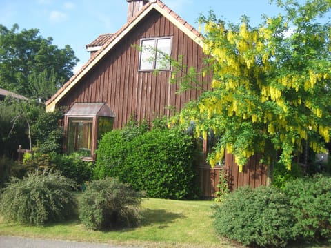 Sunflower Bed & Breakfast Bed and Breakfast in Scotland