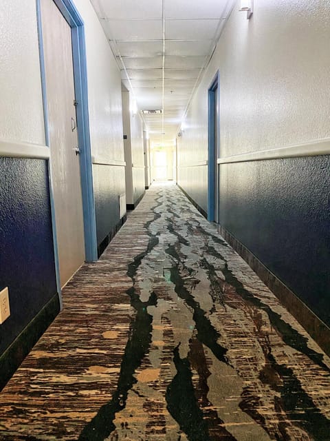 Lone Star Inn Hotel in Decatur