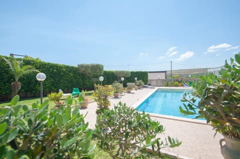 Bird's eye view, Garden, Decorative detail, Swimming pool