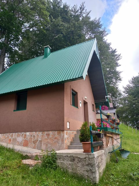 Vila Darija Villa in Montenegro