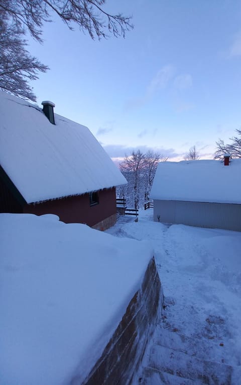 Vila Darija Villa in Montenegro
