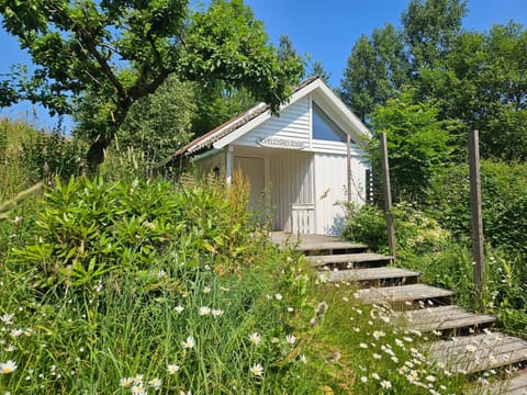 Property building, Natural landscape, Summer