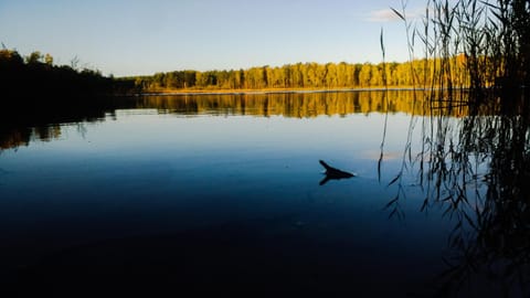 Natural landscape, Beach, Hiking, Lake view