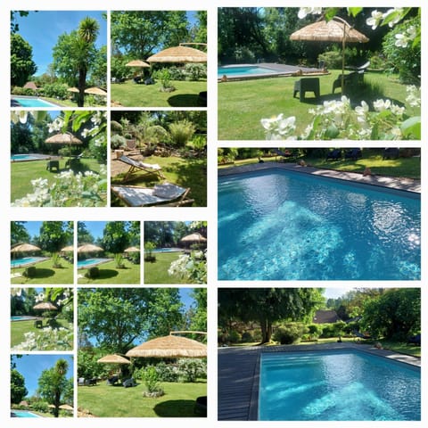 Garden, Garden view, Swimming pool