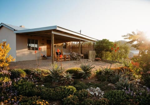 Property building, Garden, Garden view