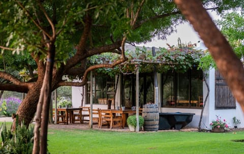 Patio, Garden, Garden view