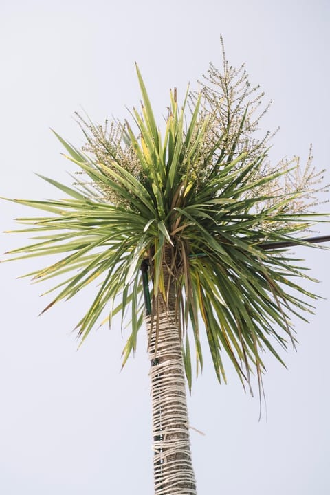 Padam Hotel & SPA Hotel in Ulcinj