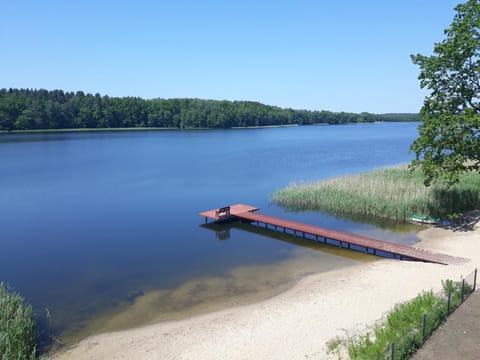 Lake view