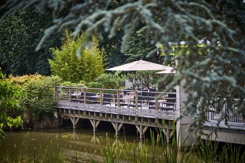 Restaurant/places to eat, Natural landscape, Garden, Garden view, Lake view, Lunch, Dinner