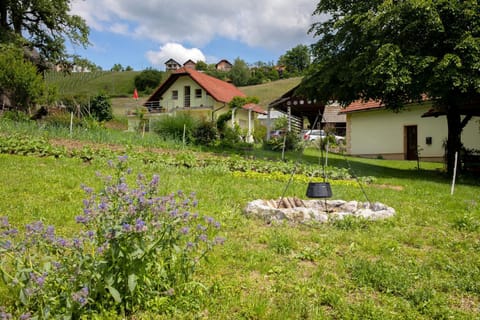 Neighbourhood, Garden, Food and drinks, Garden view