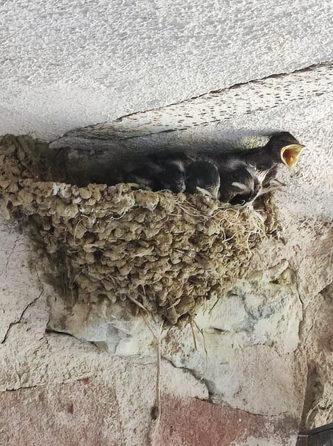 Case di Vetulonia House in Tuscany