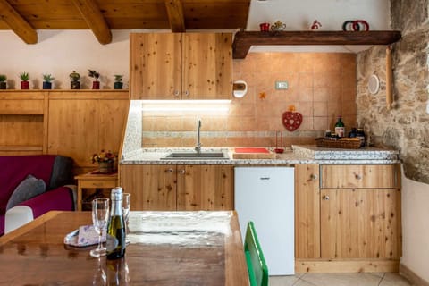 Chalet Altinate Apartment in Trentino-South Tyrol