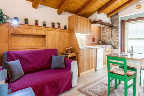 Chalet Altinate Apartment in Trentino-South Tyrol