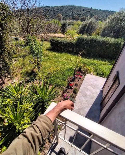 Inner courtyard view