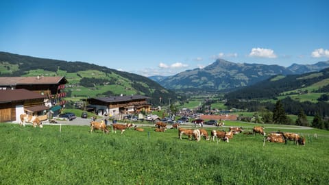 Natural landscape, Hiking