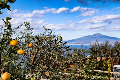 Day, Natural landscape, Sea view