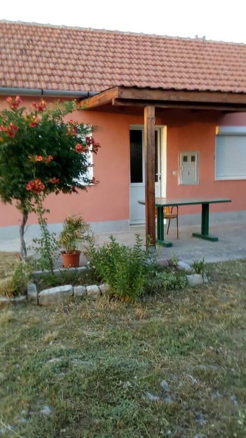 Patio, Facade/entrance, Garden
