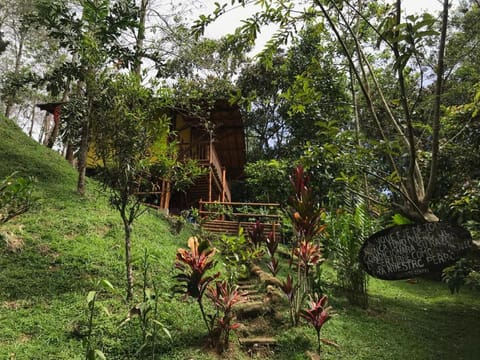 Patio, Patio, Natural landscape, Garden, Garden, Balcony/Terrace, Hiking