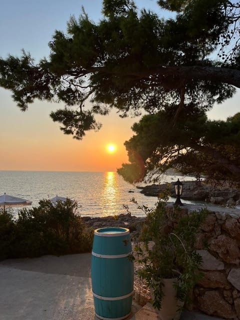 Apartmani "Nikola" Seaview - Ivan Dolac, Hvar Apartment in Dubrovnik-Neretva County