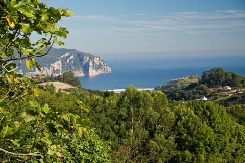 Natural landscape, Bird's eye view, Sea view