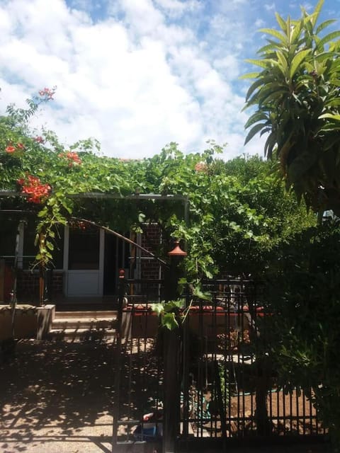 Property building, Day, Garden view