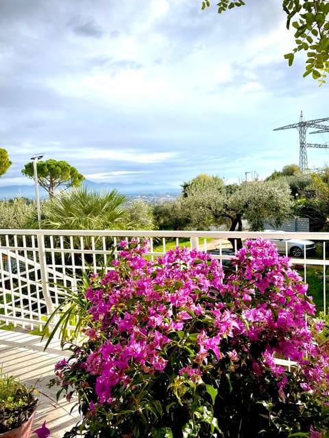 Natural landscape, Garden, Garden view