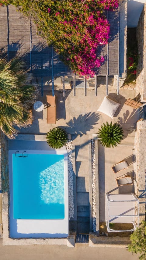 Patio, Day, Garden, Pool view, Swimming pool, Swimming pool, sunbed