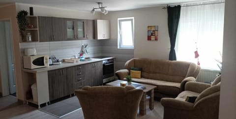 Living room, kitchen