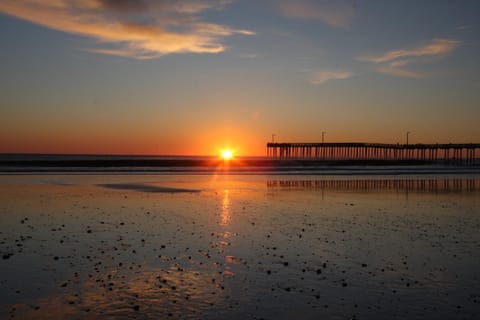 View (from property/room), Area and facilities