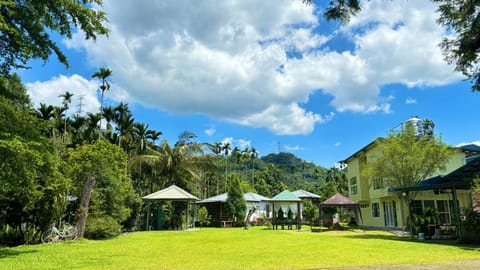 Property building, Day